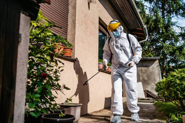 Best Local Pest Control Services  in Boyd, TX