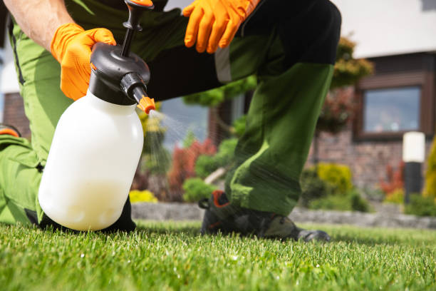 Professional Pest Control in Boyd, TX
