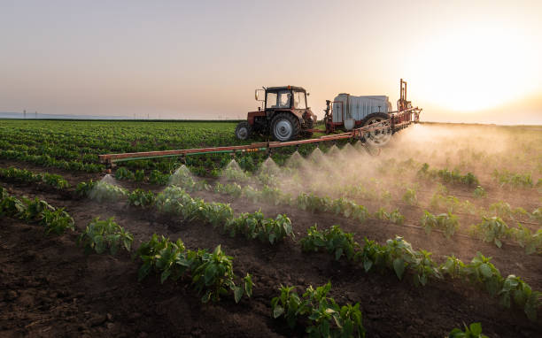 Pest Control for Restaurants in Boyd, TX