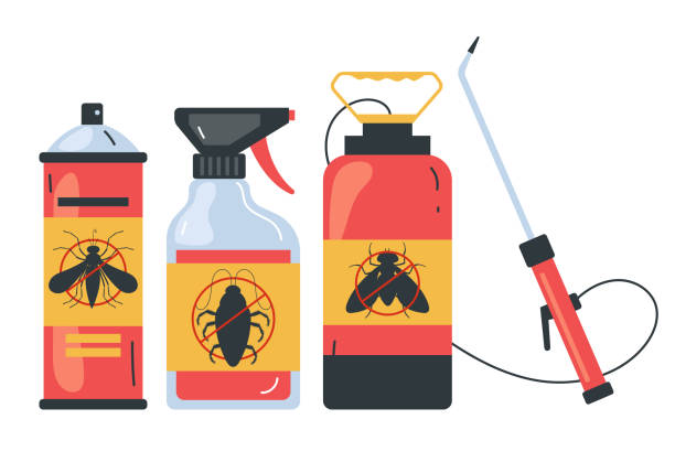 Best Insect Control  in Boyd, TX
