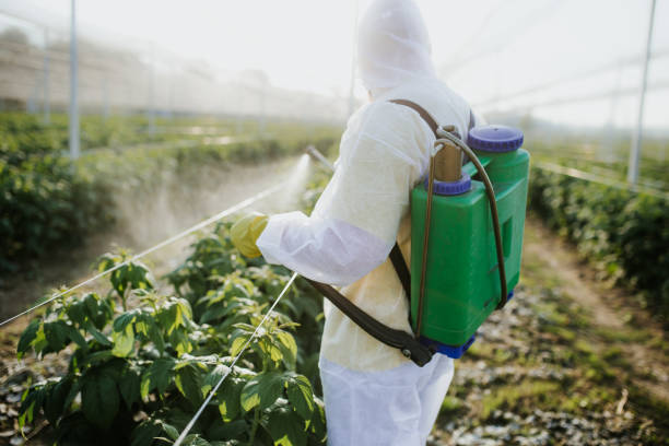 Flea Control Services in Boyd, TX
